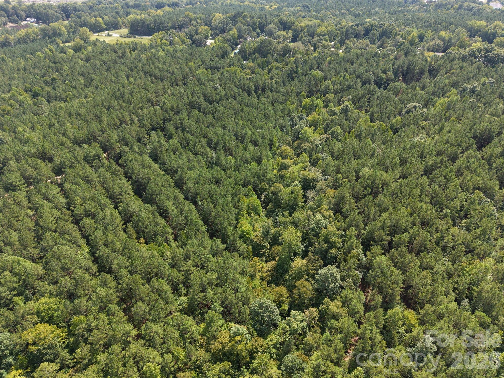 Acreage at TBD NC HWY 109 None N, Wadesboro, photo 36 of 37
