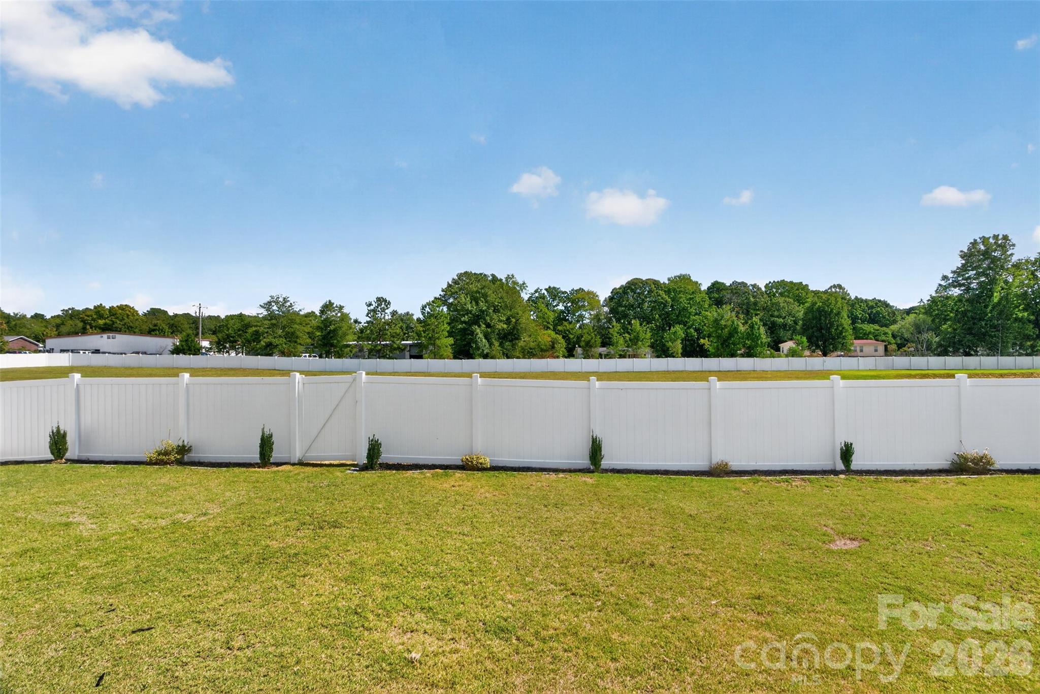 Single Family Residence at 1130 Zettie Avenue, Kannapolis, photo 46 of 48