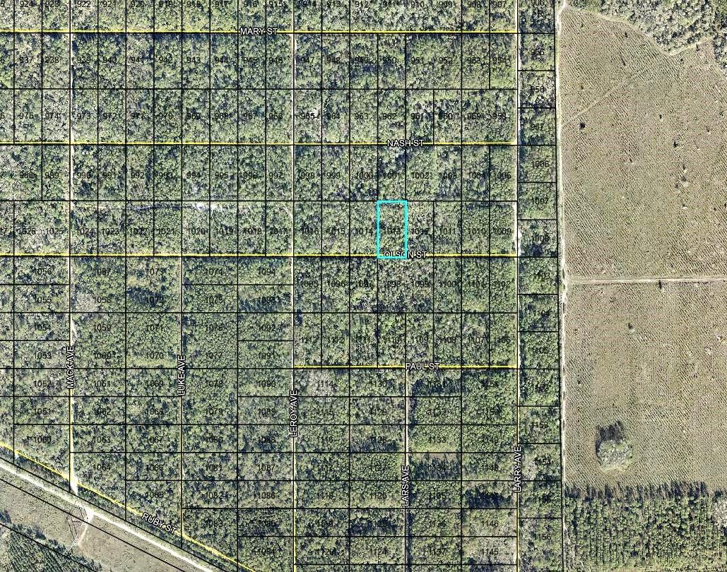 LT 1013 OLSON ST
