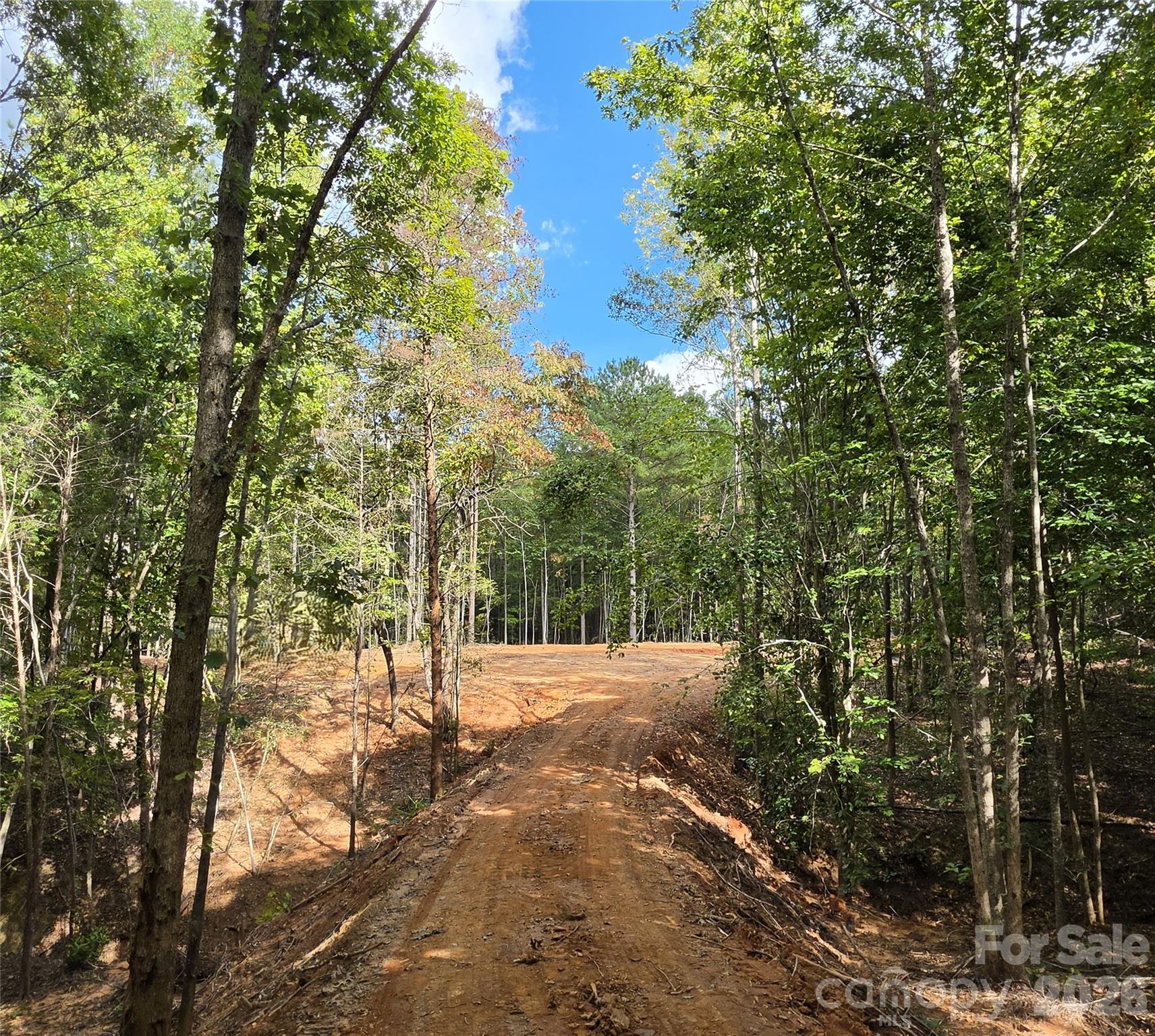 Lot at 552 Midway Road, Richburg, photo 4 of 44