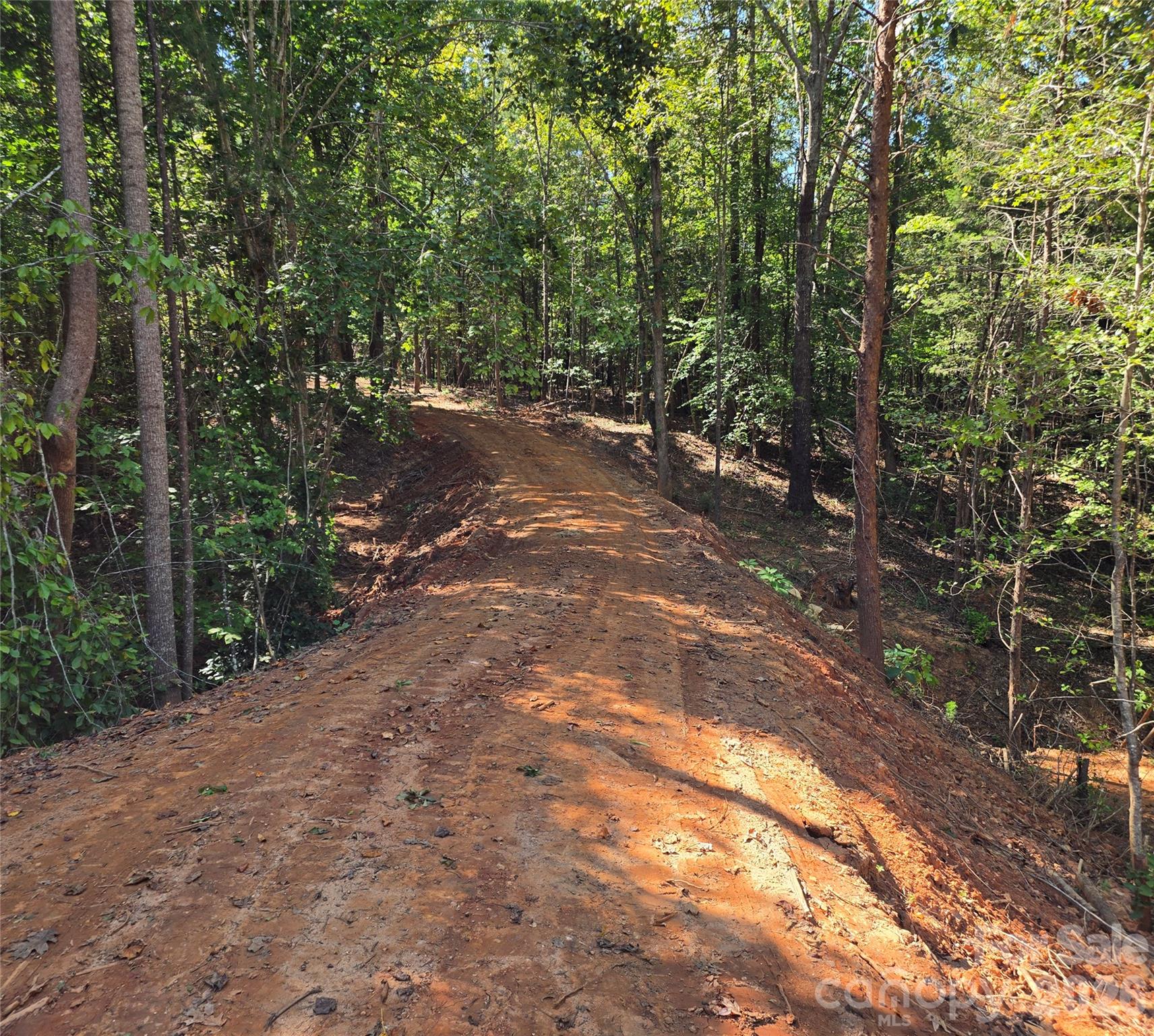 Driveway - 552 Midway Road, Richburg