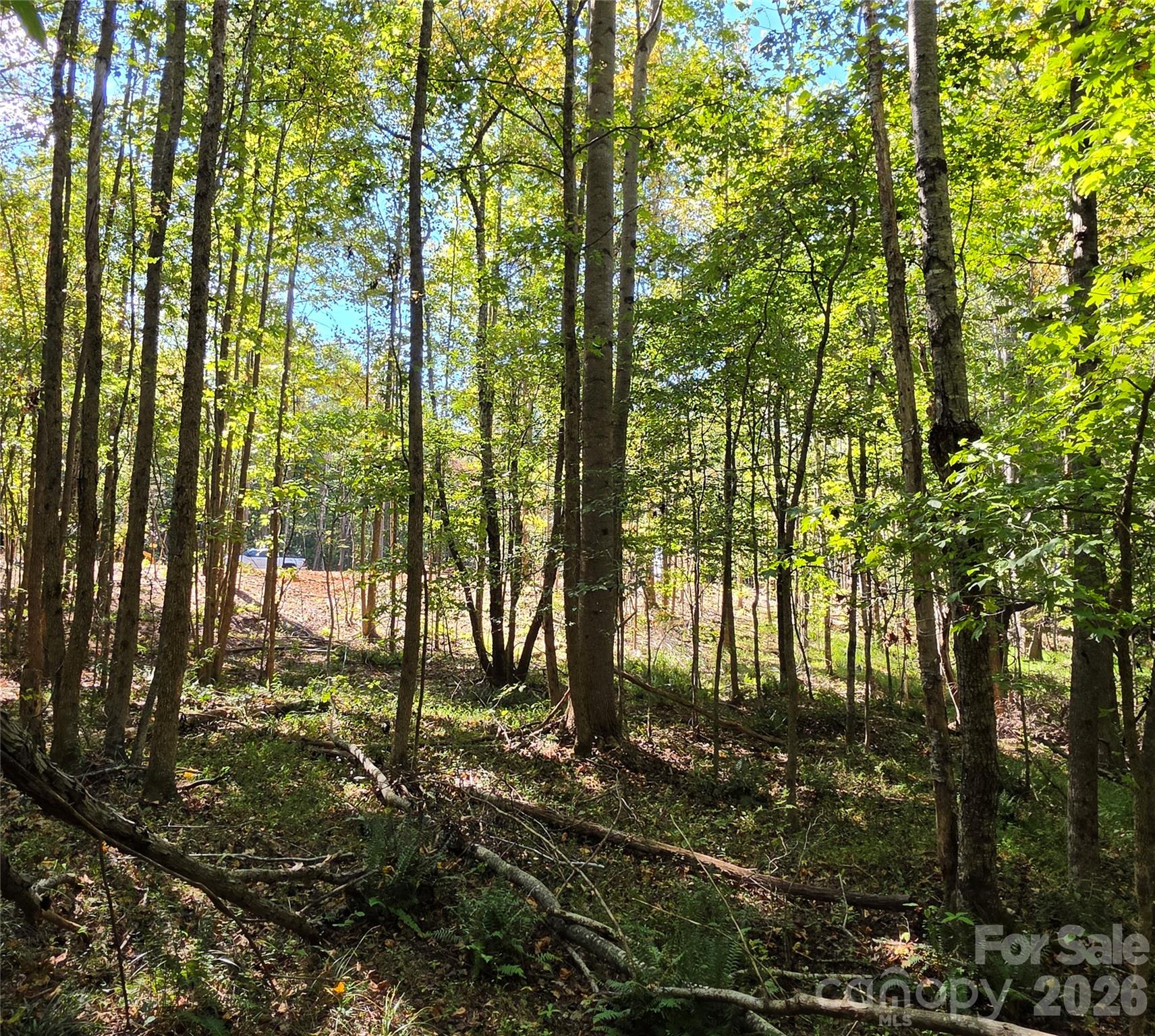 Build Site view from woods near creek - 552 Midway Road, Richburg