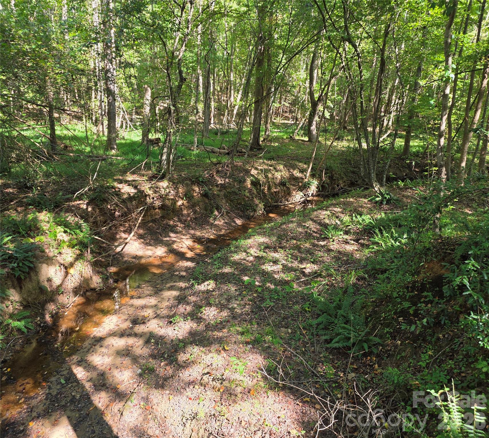 creek - 552 Midway Road, Richburg