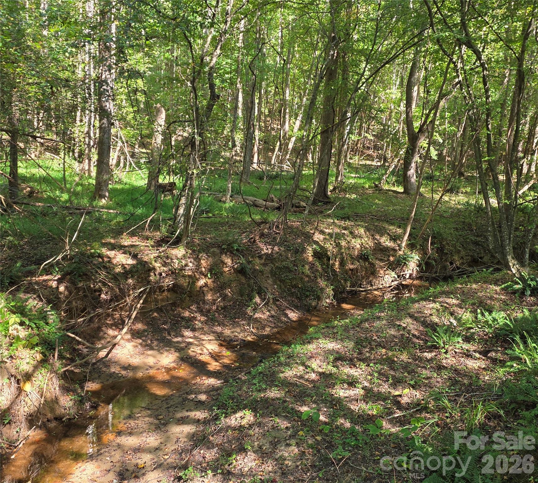 Creek - 552 Midway Road, Richburg