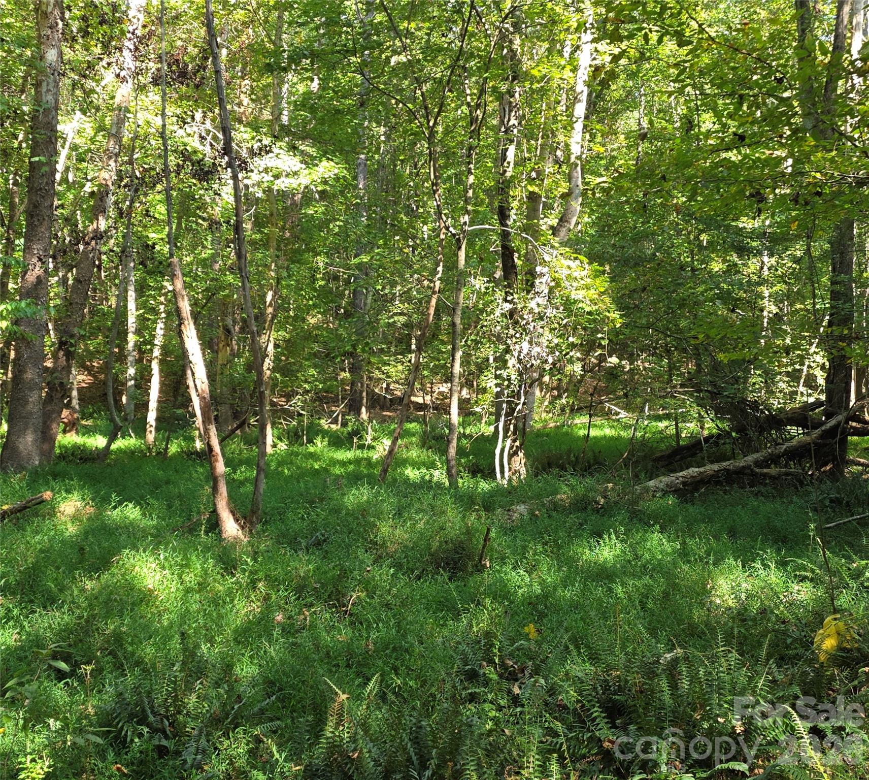 Woods - 552 Midway Road, Richburg