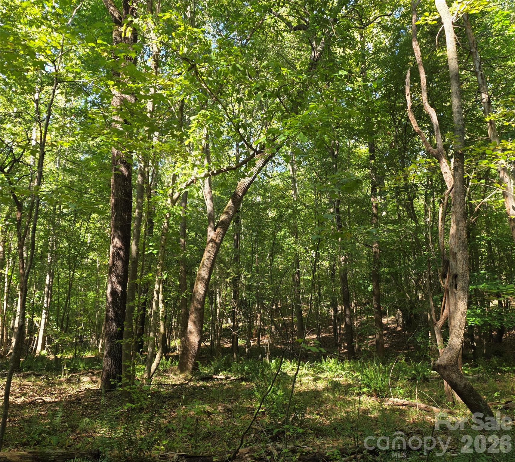 woods - 552 Midway Road, Richburg