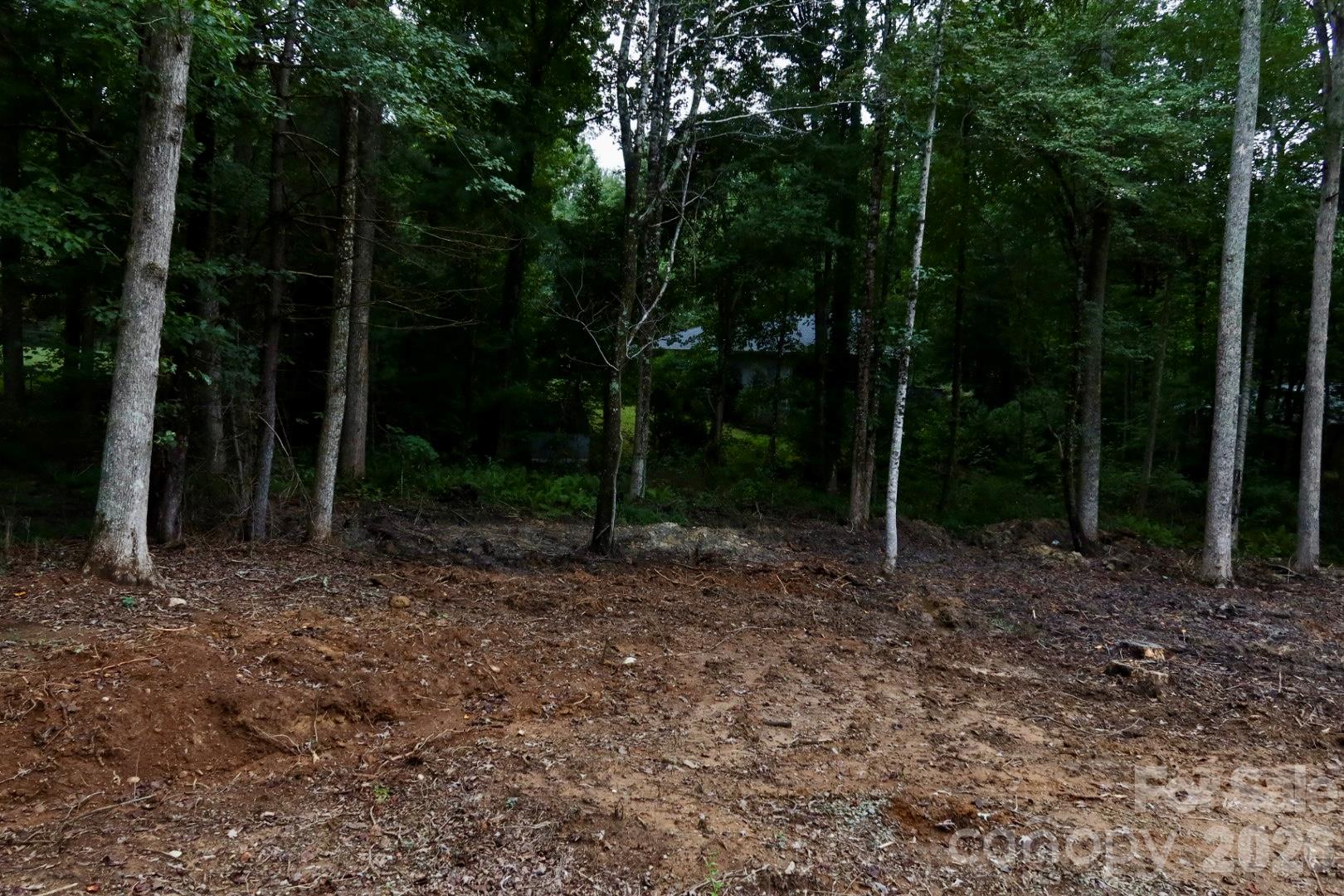 Lot at 180 Cinnamon Way, Flat Rock, photo 13 of 21
