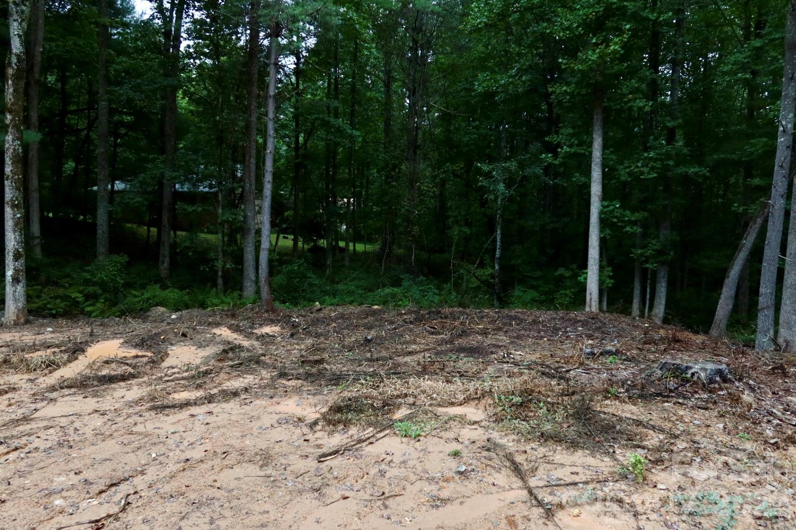 Lot at 180 Cinnamon Way, Flat Rock, photo 16 of 21