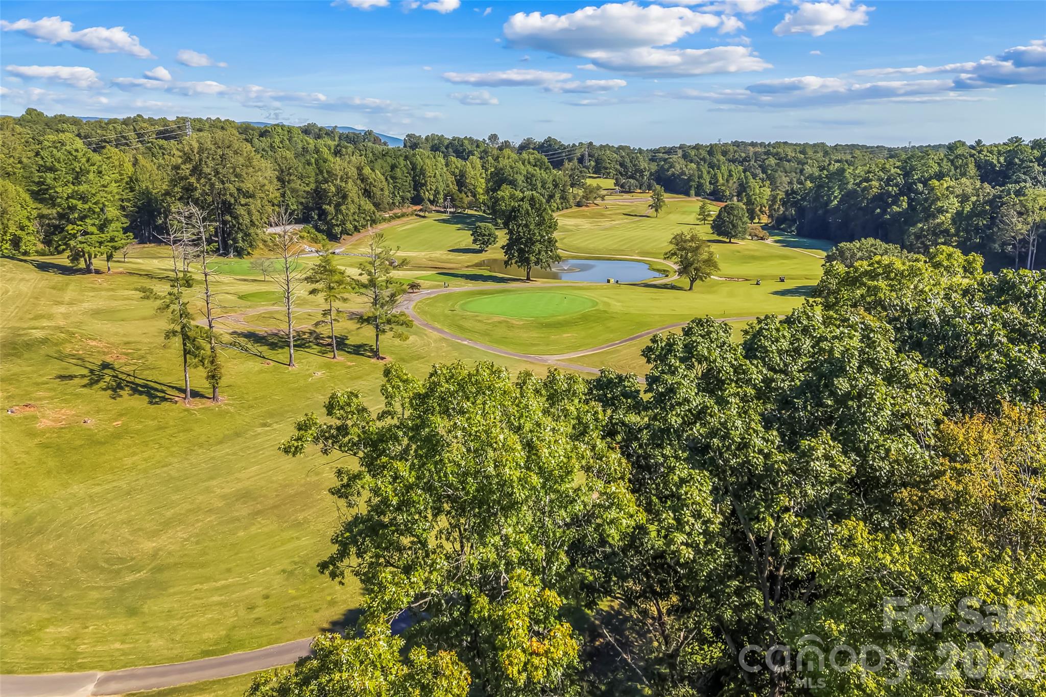 Overlooking golf course view - 651 Cemetery Road, Nebo