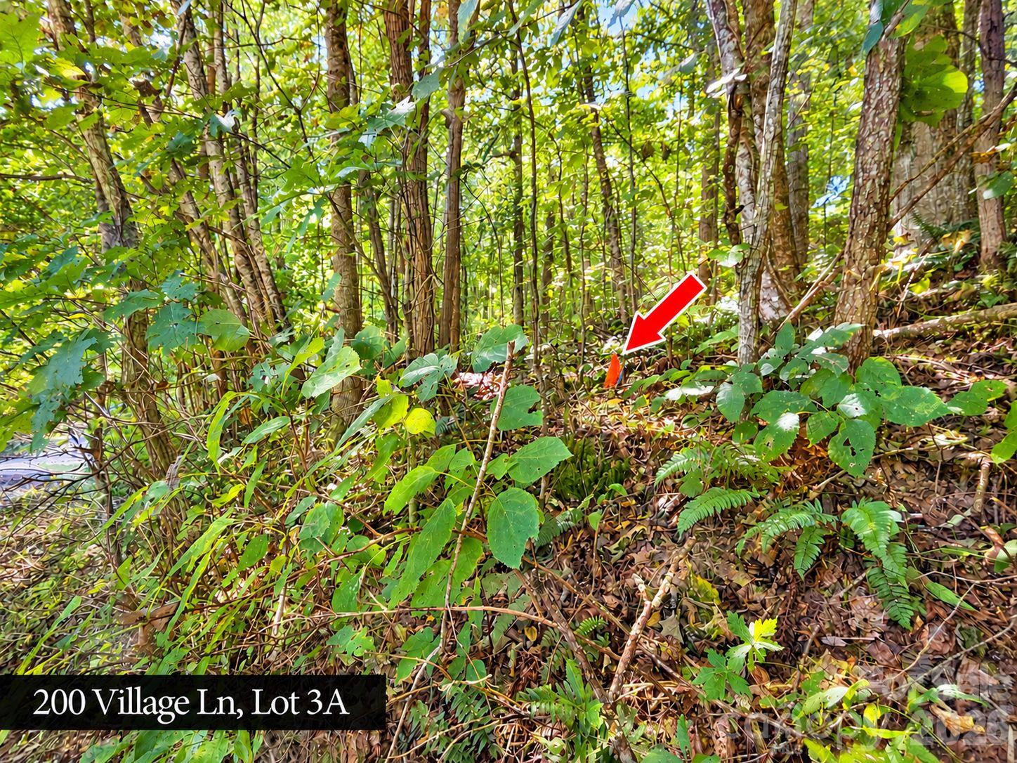 Lot at 200 Village Lane, Waynesville, photo 4 of 29