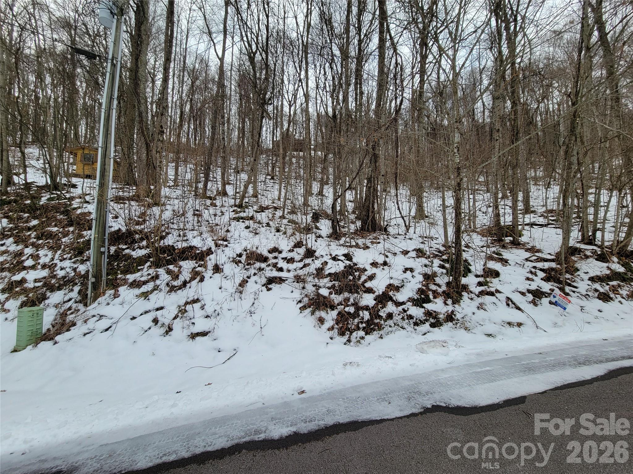 Lot at 200 Village Lane, Waynesville, photo 3 of 29