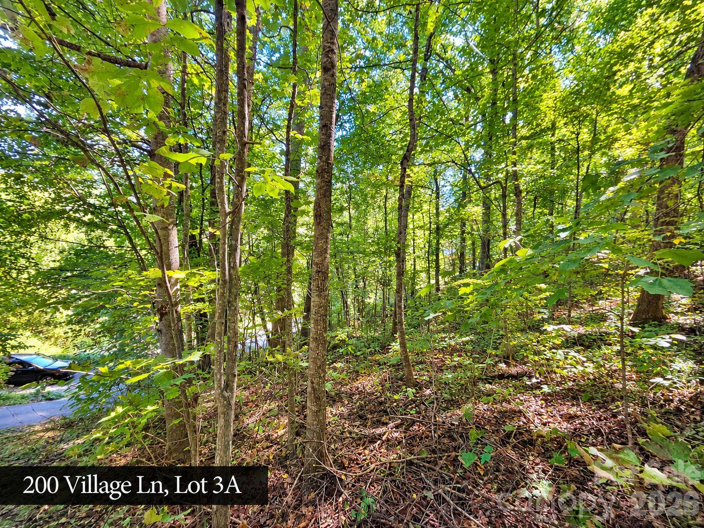 Lot at 200 Village Lane, Waynesville, photo 9 of 29