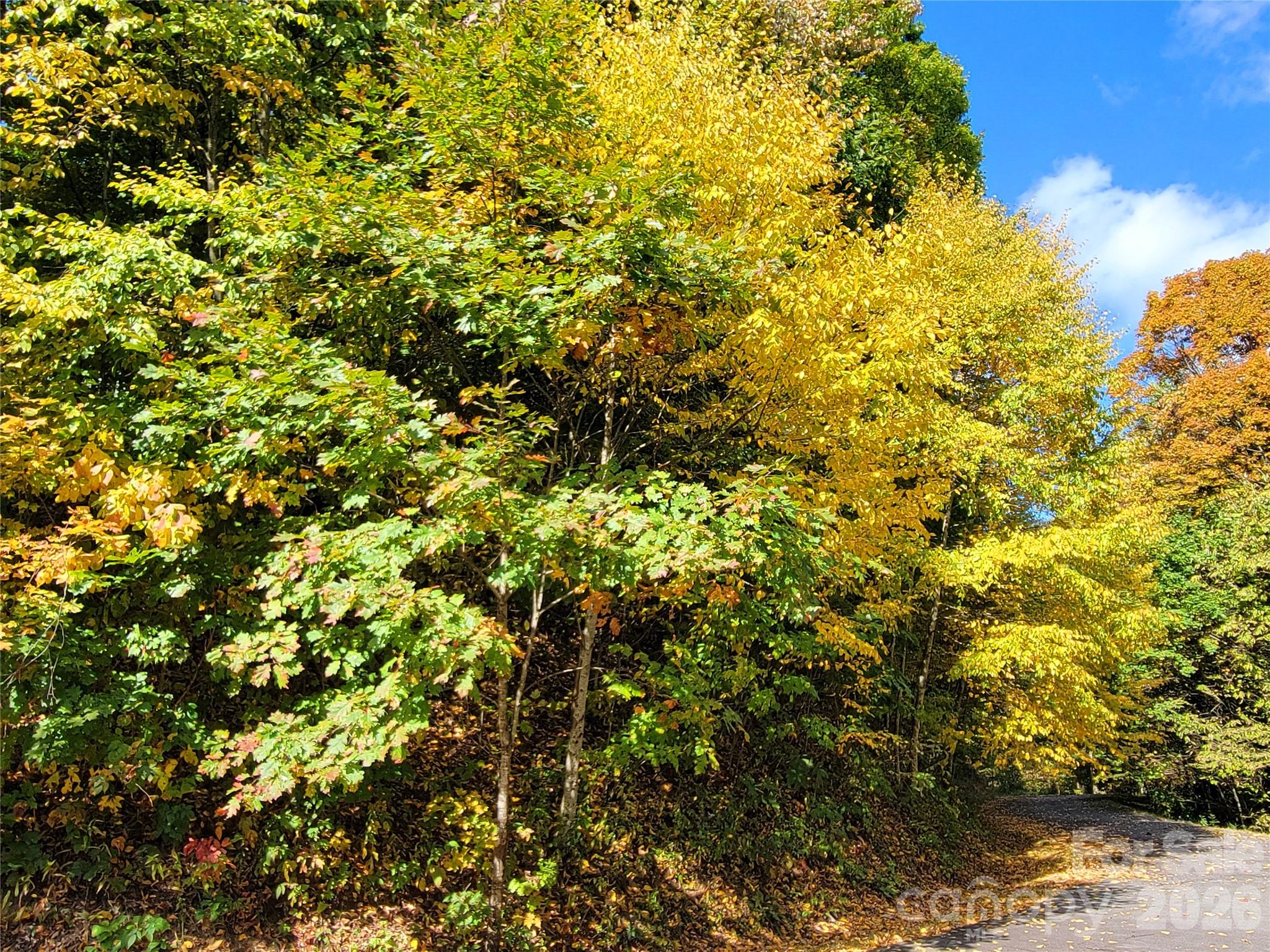 Lot at 200 Village Lane, Waynesville, photo 10 of 29