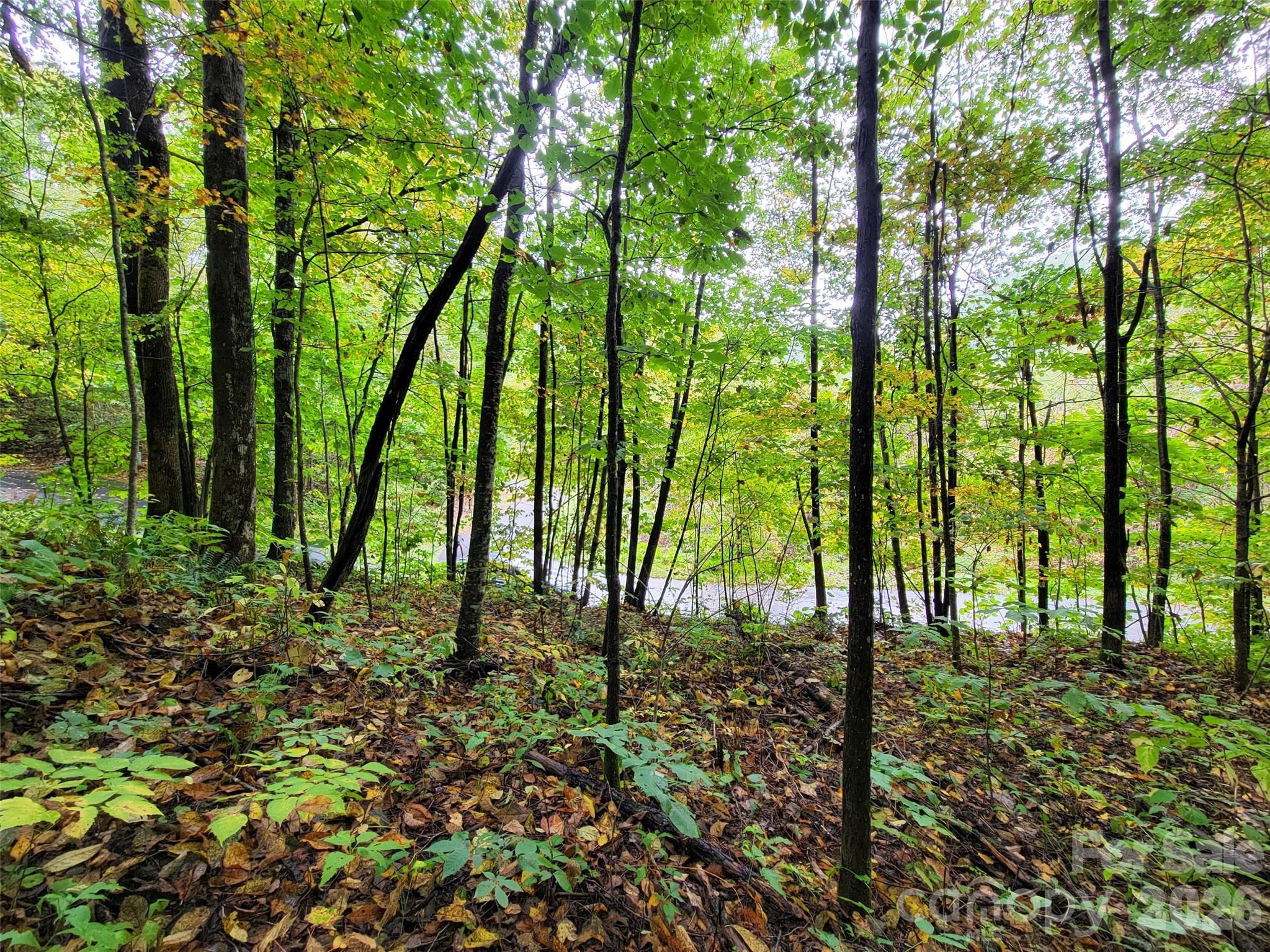 Lot at 200 Village Lane, Waynesville, photo 13 of 29