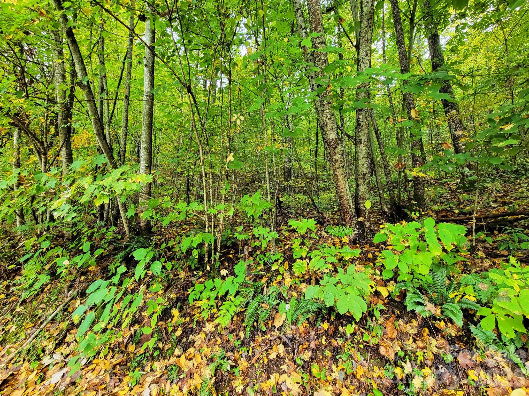 Lot at 200 Village Lane, Waynesville, photo 18 of 29