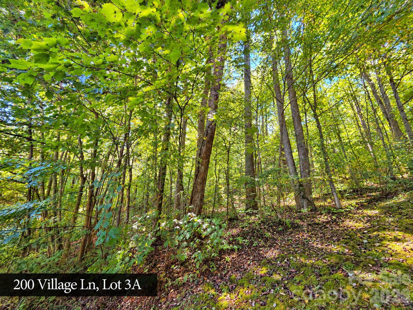 Lot at 200 Village Lane, Waynesville, photo 22 of 29