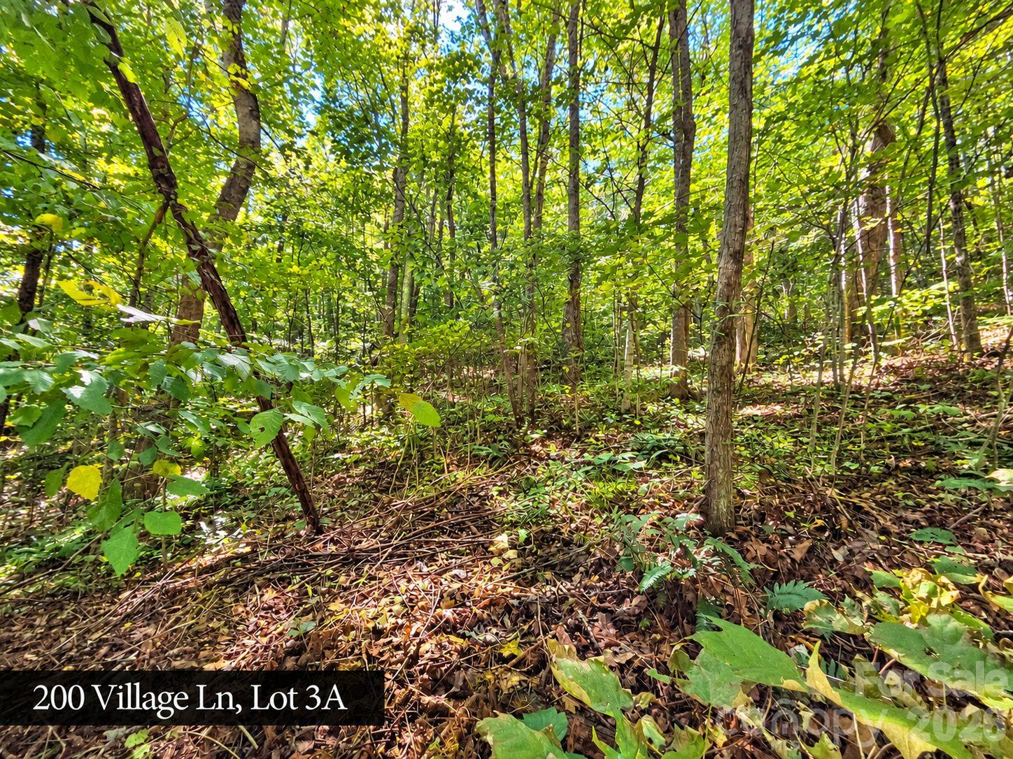 Lot at 200 Village Lane, Waynesville, photo 29 of 29