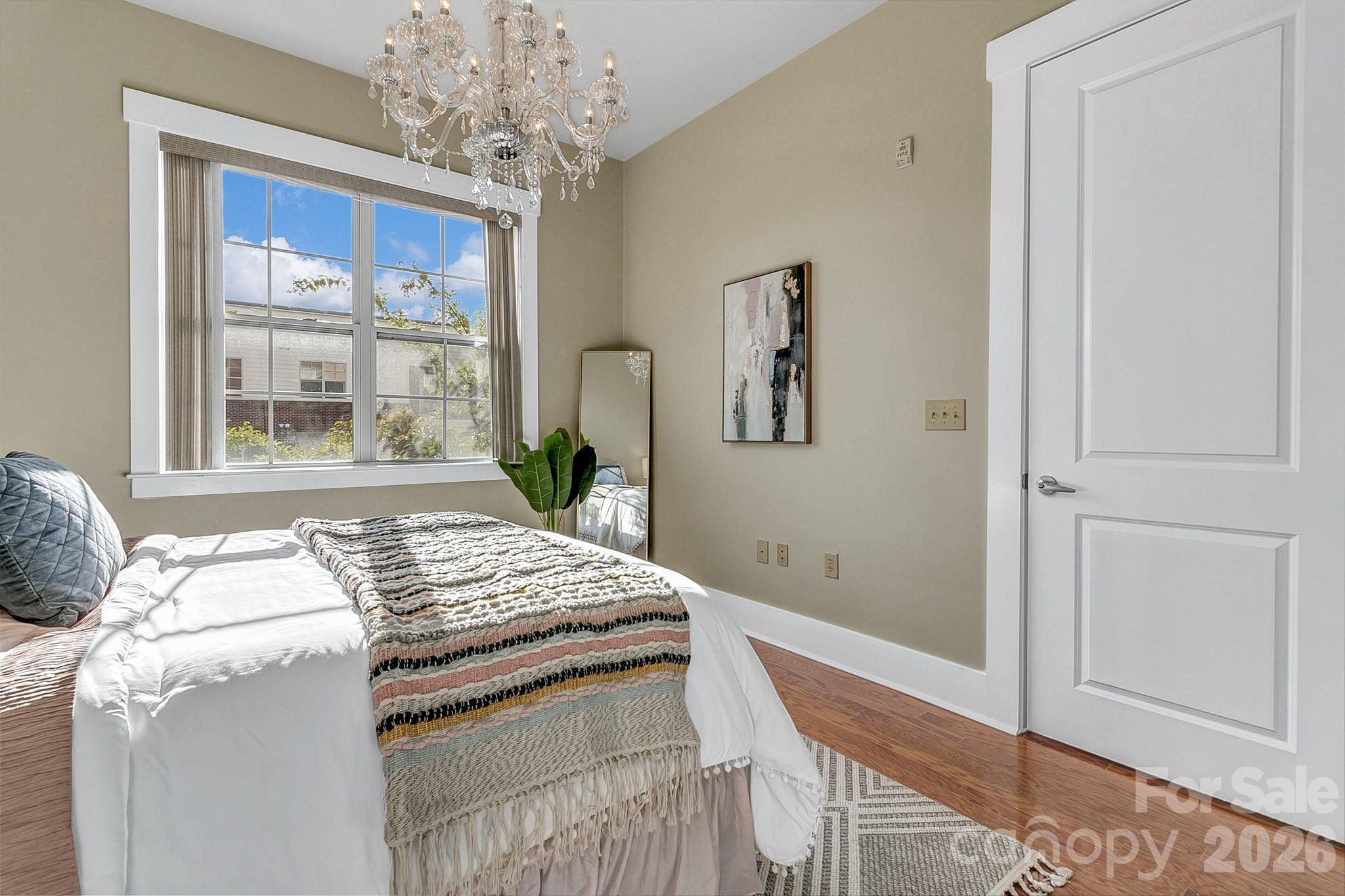 Such good light! - 42 Schenck Parkway, Asheville