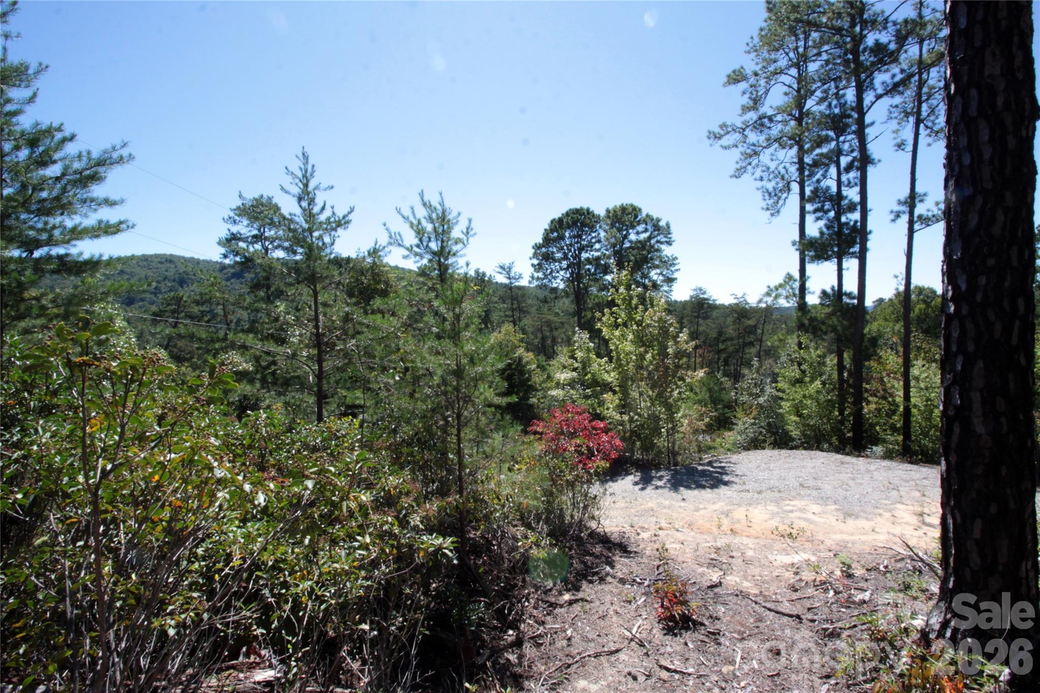 Lot at Lot 25 Round Mountain Road, Brevard, photo 9 of 13