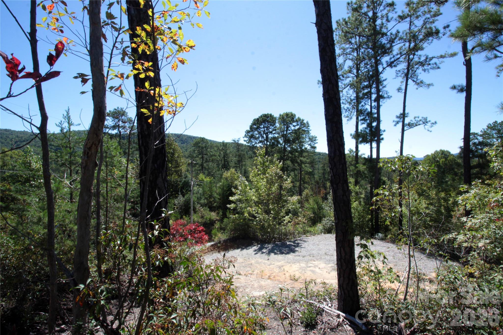 Lot at Lot 25 Round Mountain Road, Brevard, photo 11 of 13