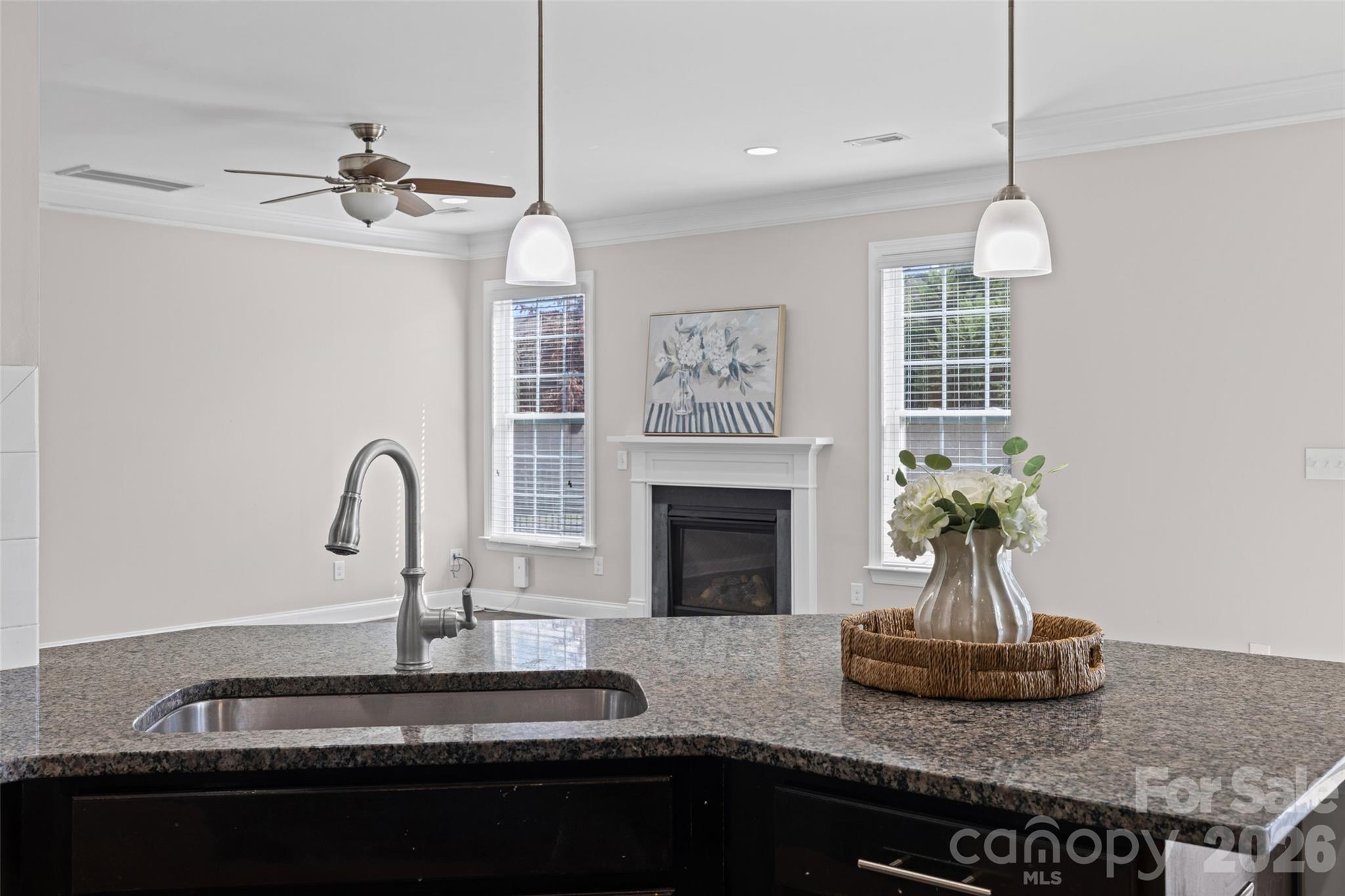 Single Family Residence at 1361 Rainier Drive, Fort Mill, photo 13 of 48