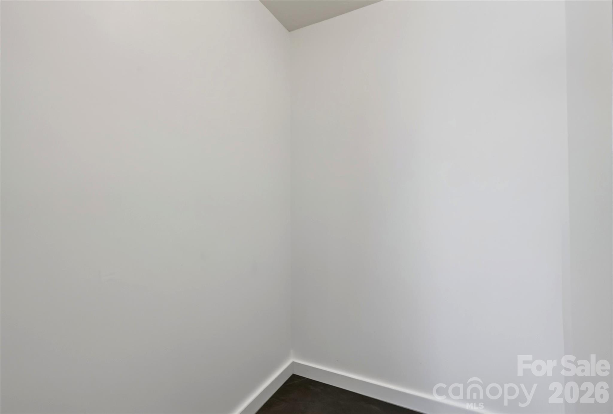 spacious downstairs closet - 53 Hemlock Street, Arden