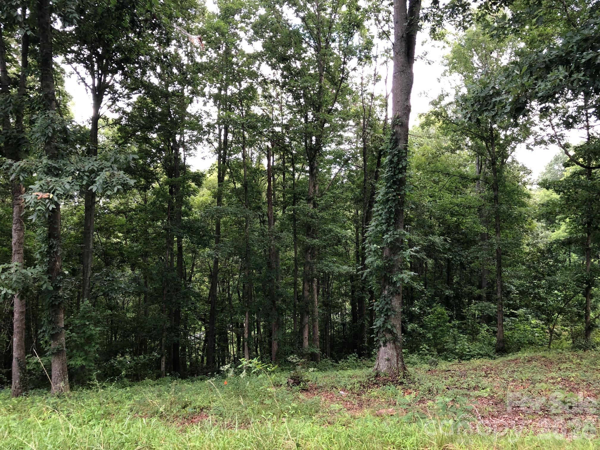 45 Sweet Fern Parkway