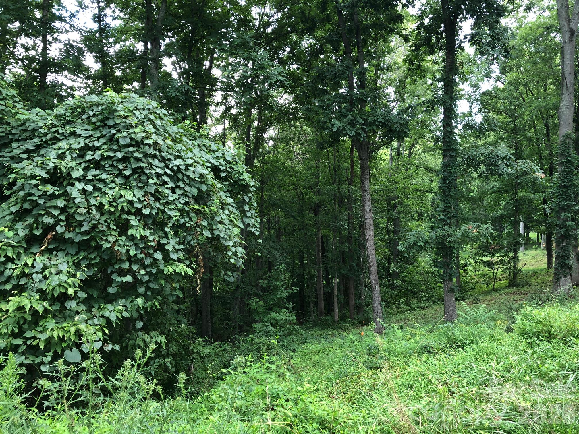 Lot at 45 Sweet Fern Parkway, Asheville, photo 2 of 23