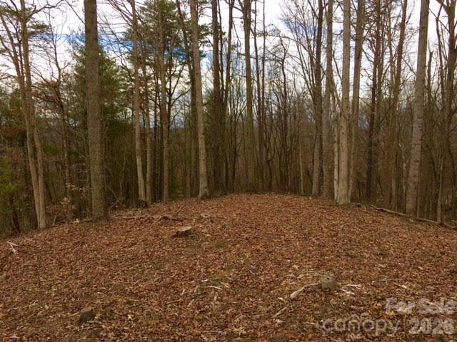 Lot at 45 Sweet Fern Parkway, Asheville, photo 3 of 23