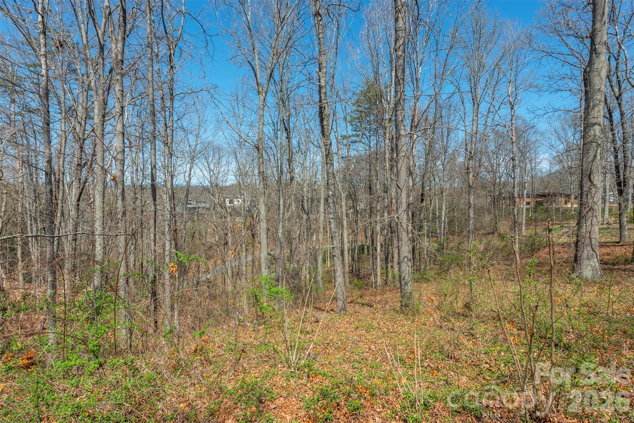Lot at 45 Sweet Fern Parkway, Asheville, photo 5 of 23
