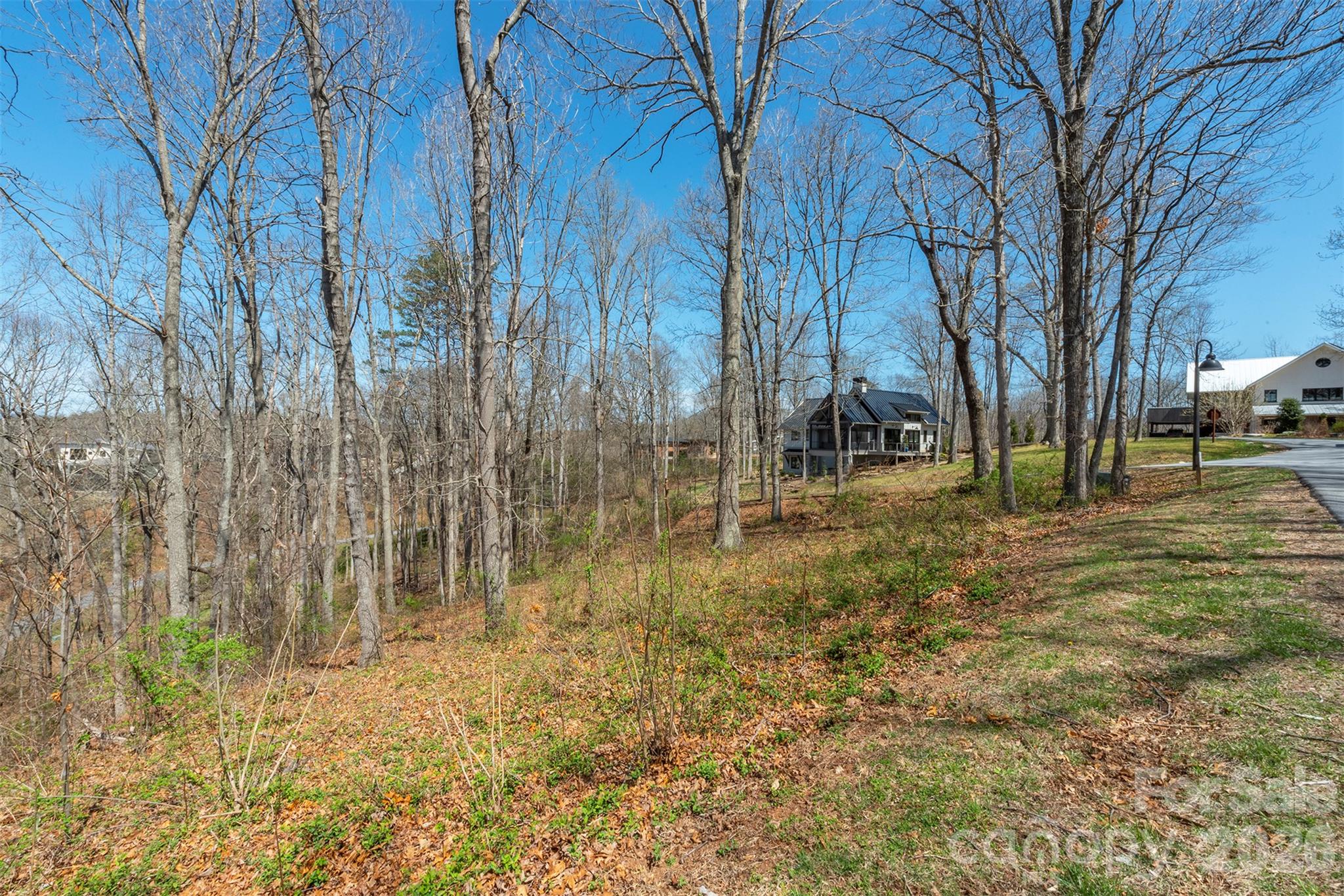 Lot at 45 Sweet Fern Parkway, Asheville, photo 6 of 23