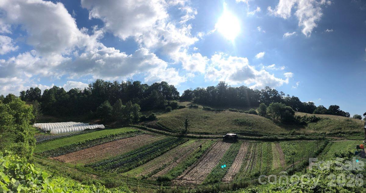 Lot at 45 Sweet Fern Parkway, Asheville, photo 9 of 23