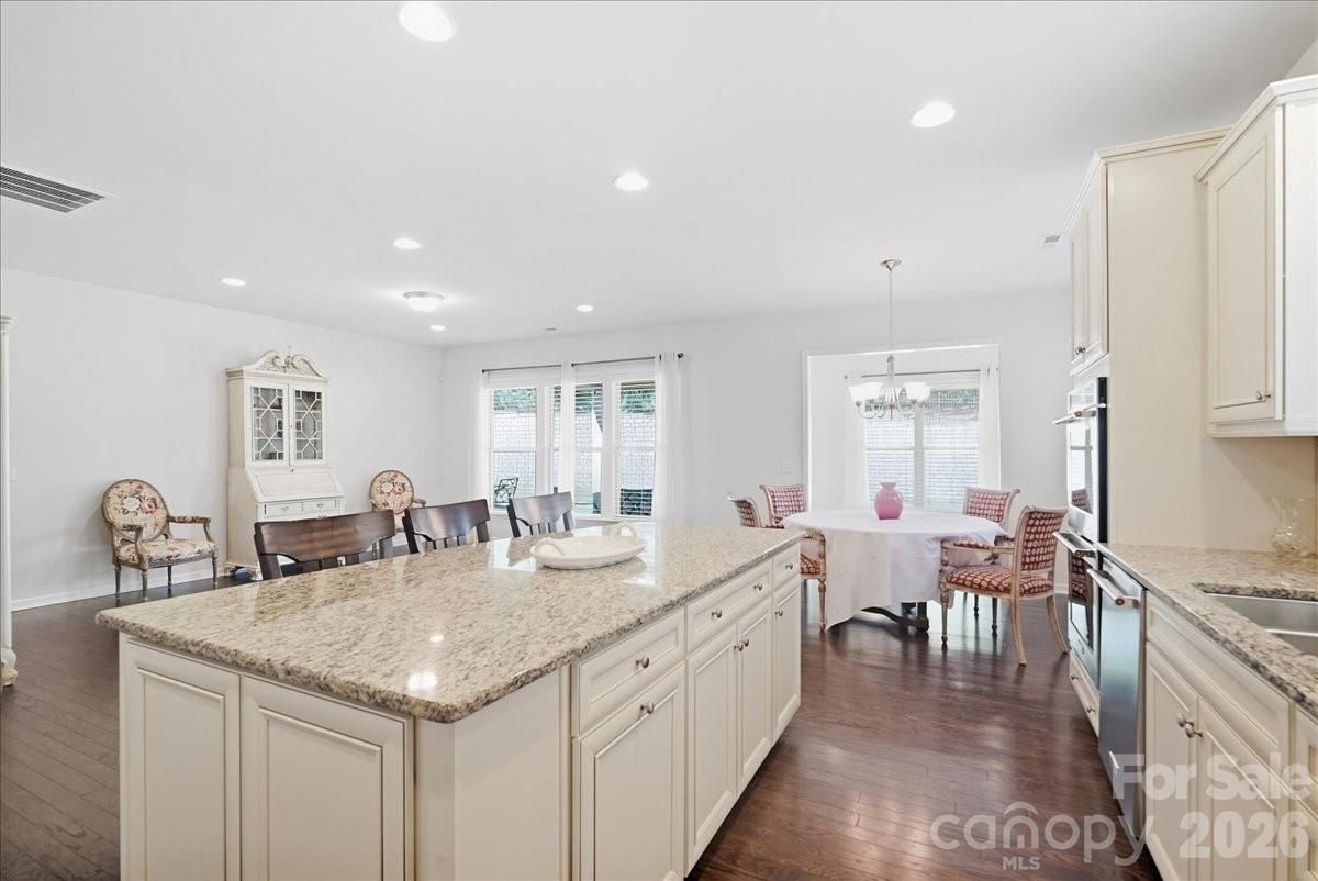 Soft close cabinet doors, pull out shelves - 389 Harvest Valley Lane, Fort Mill