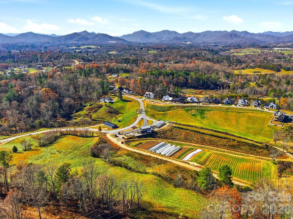 Single Family Residence at 202 Westridge Farm Road, Asheville, photo 3 of 47