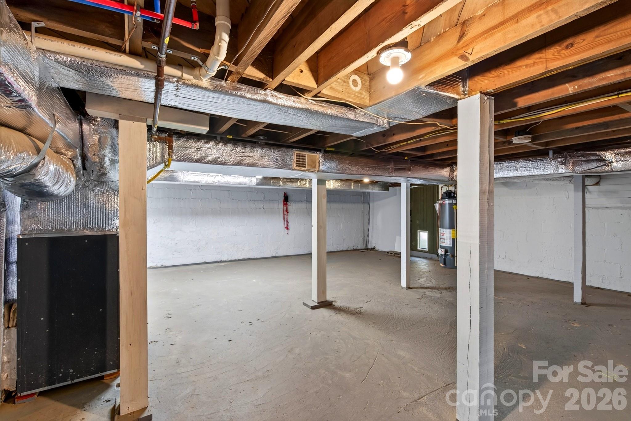 Basement has interior steps and exterior door to side yard. Plenty of dry storage - 5 Inglewood Road, Asheville