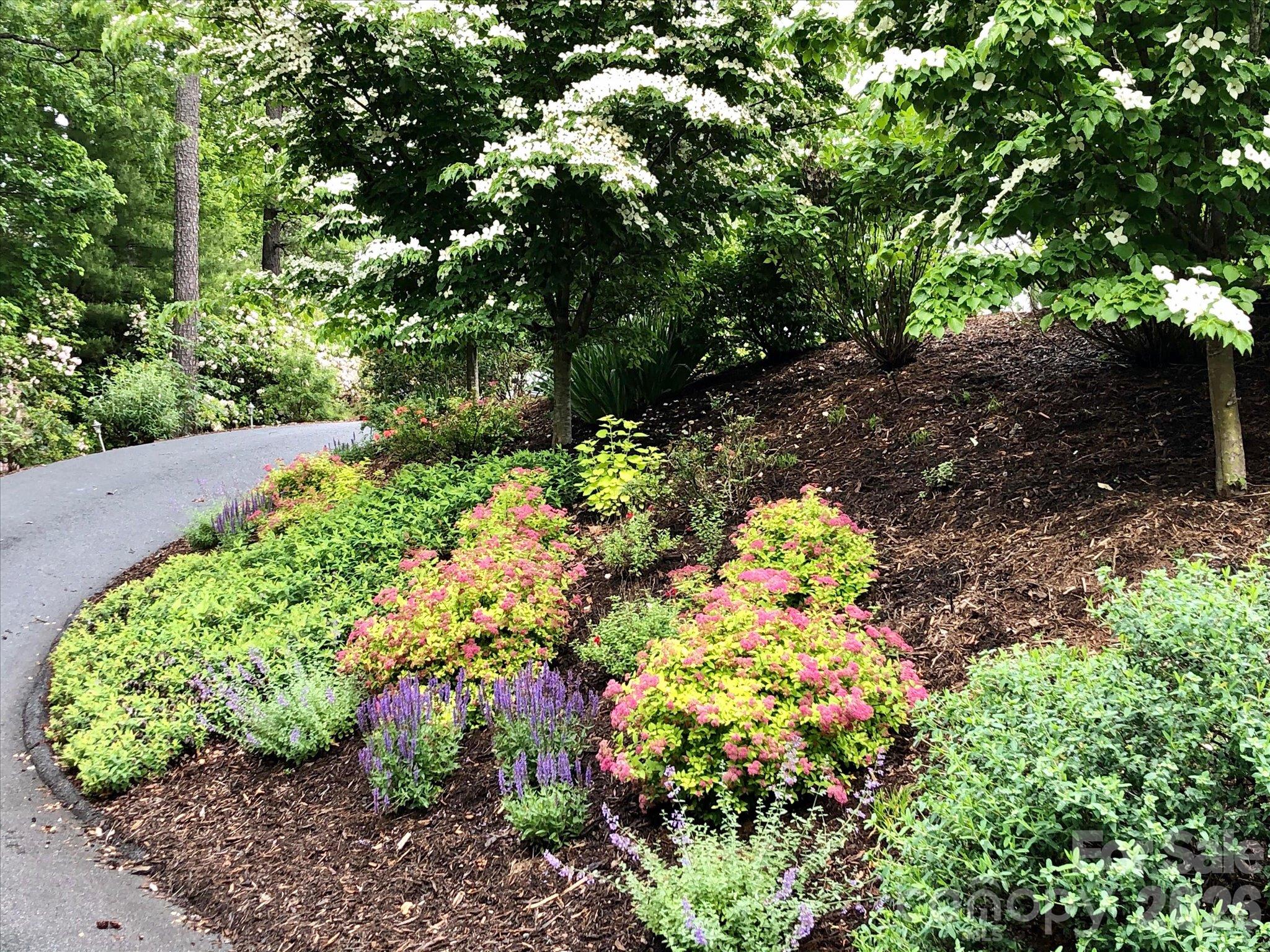 Spectacular landscaping! - 44 Sunset Trace, Brevard