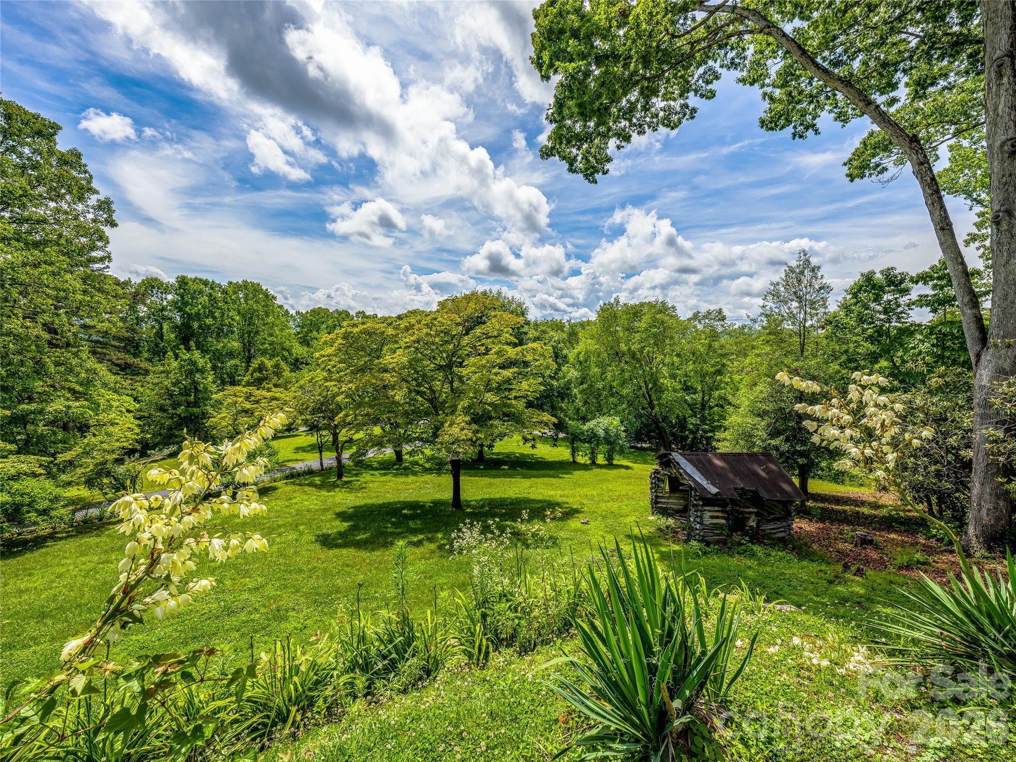 Single Family Residence at 170 Twin Springs Road, Hendersonville, photo 12 of 20
