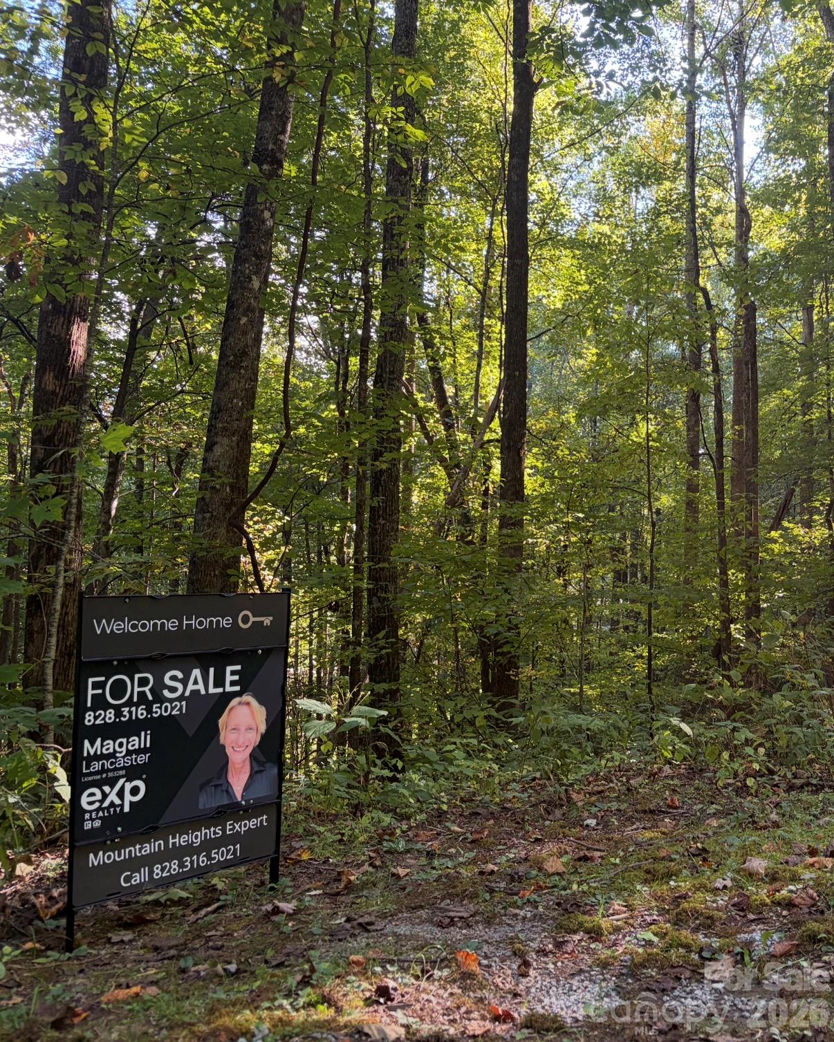 Lot at 14 Fern Trail, Waynesville, photo 8 of 8