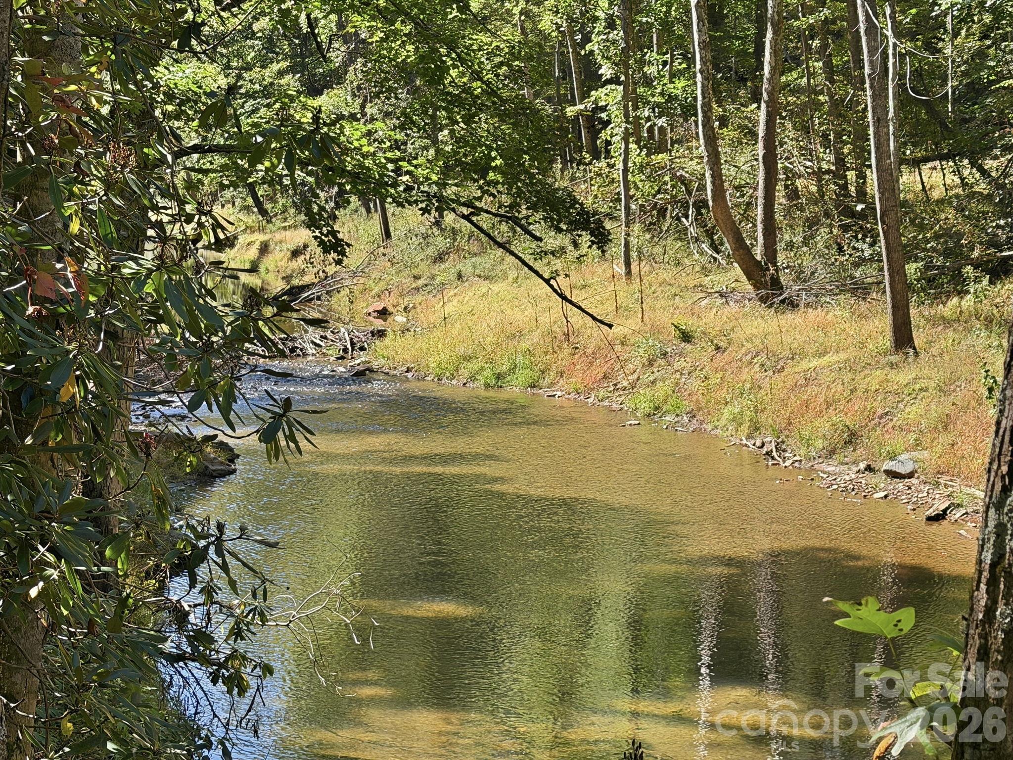 Big Crabtree Creek - 2711 Rabbit Hop Road, Spruce Pine
