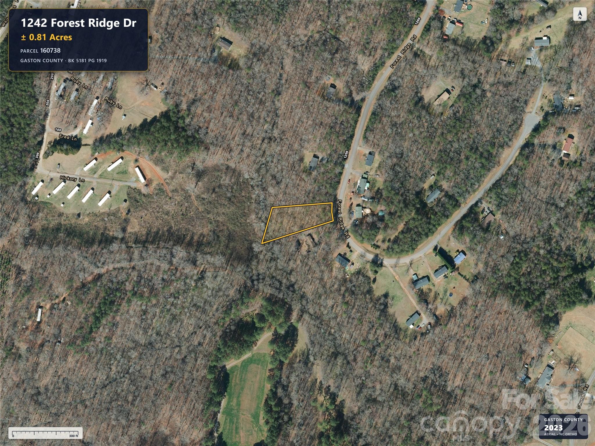 Lot at 1242 Forest Ridge Drive, Bessemer City, photo 3 of 5