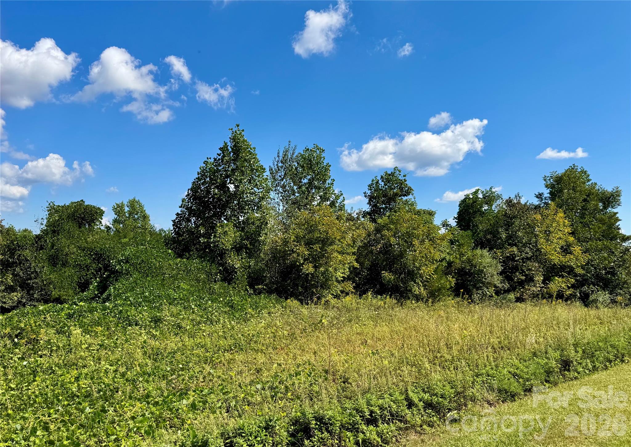 Acreage at 0 Freemantown Road, Lake Lure, photo 7 of 20