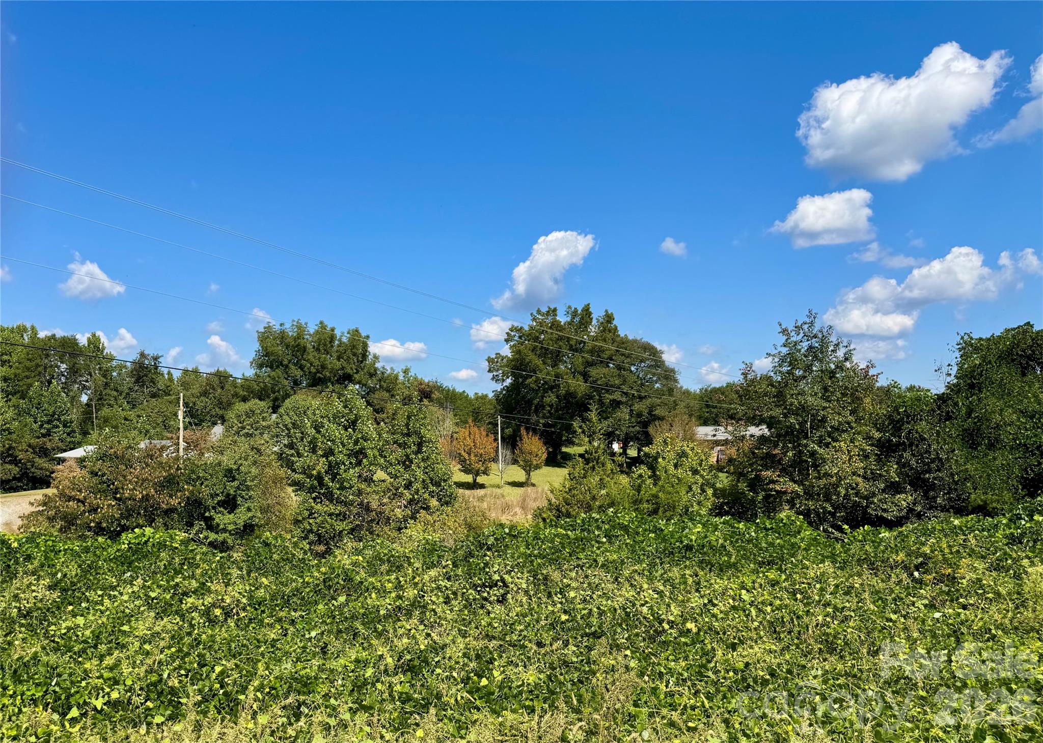 Acreage at 0 Freemantown Road, Lake Lure, photo 6 of 20