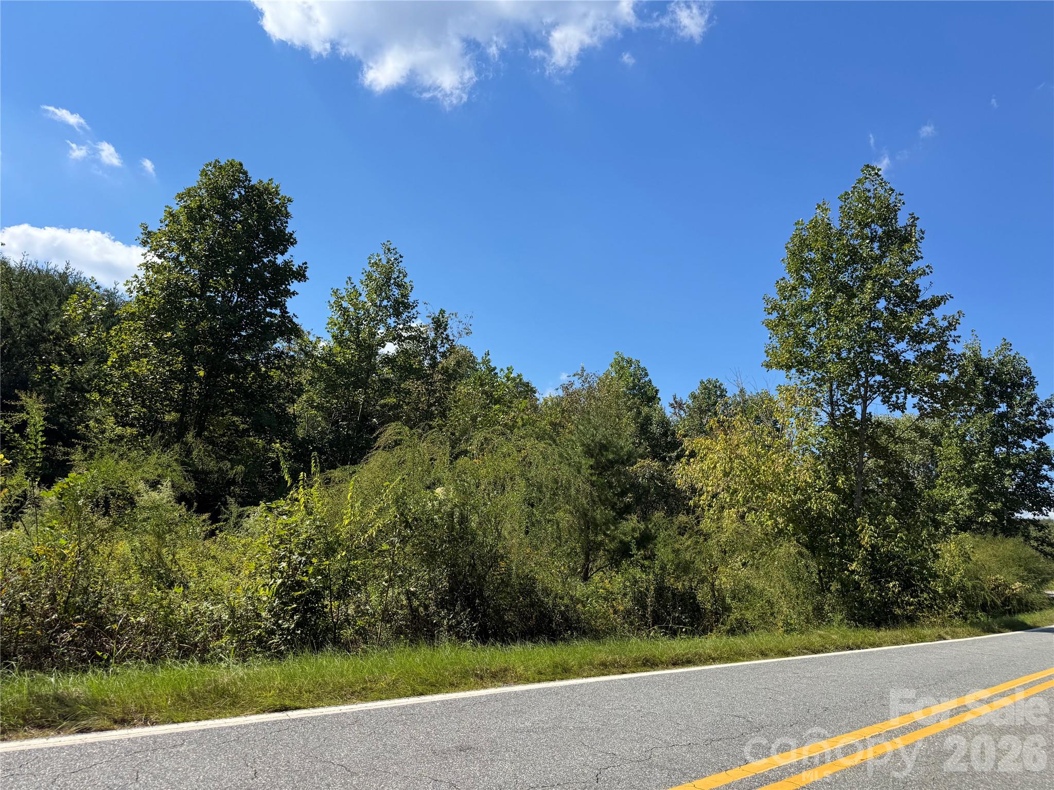 Acreage at 0 Freemantown Road, Lake Lure, photo 12 of 20