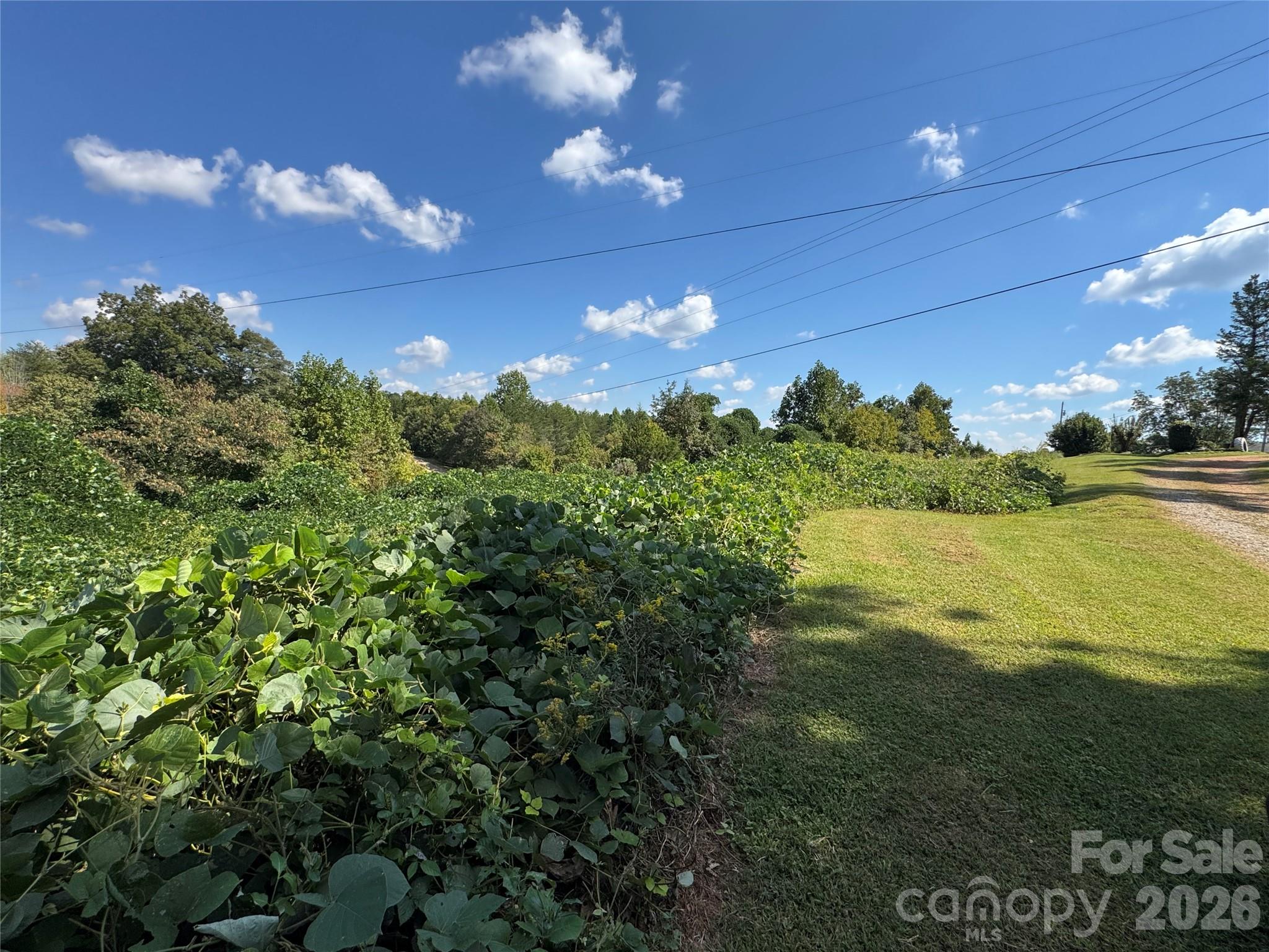 Acreage at 0 Freemantown Road, Lake Lure, photo 13 of 20