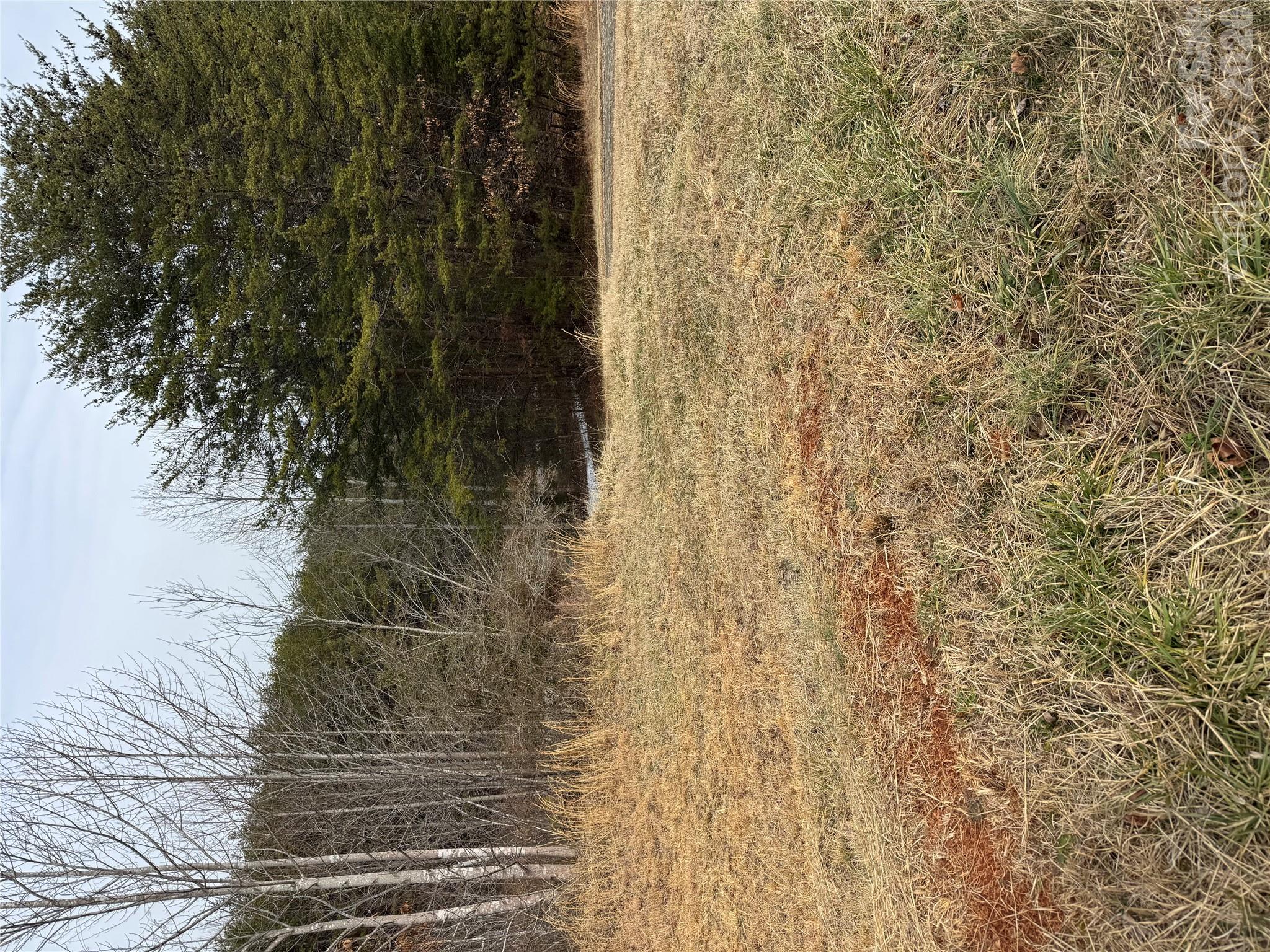 Acreage at 0 Freemantown Road, Lake Lure, photo 16 of 20
