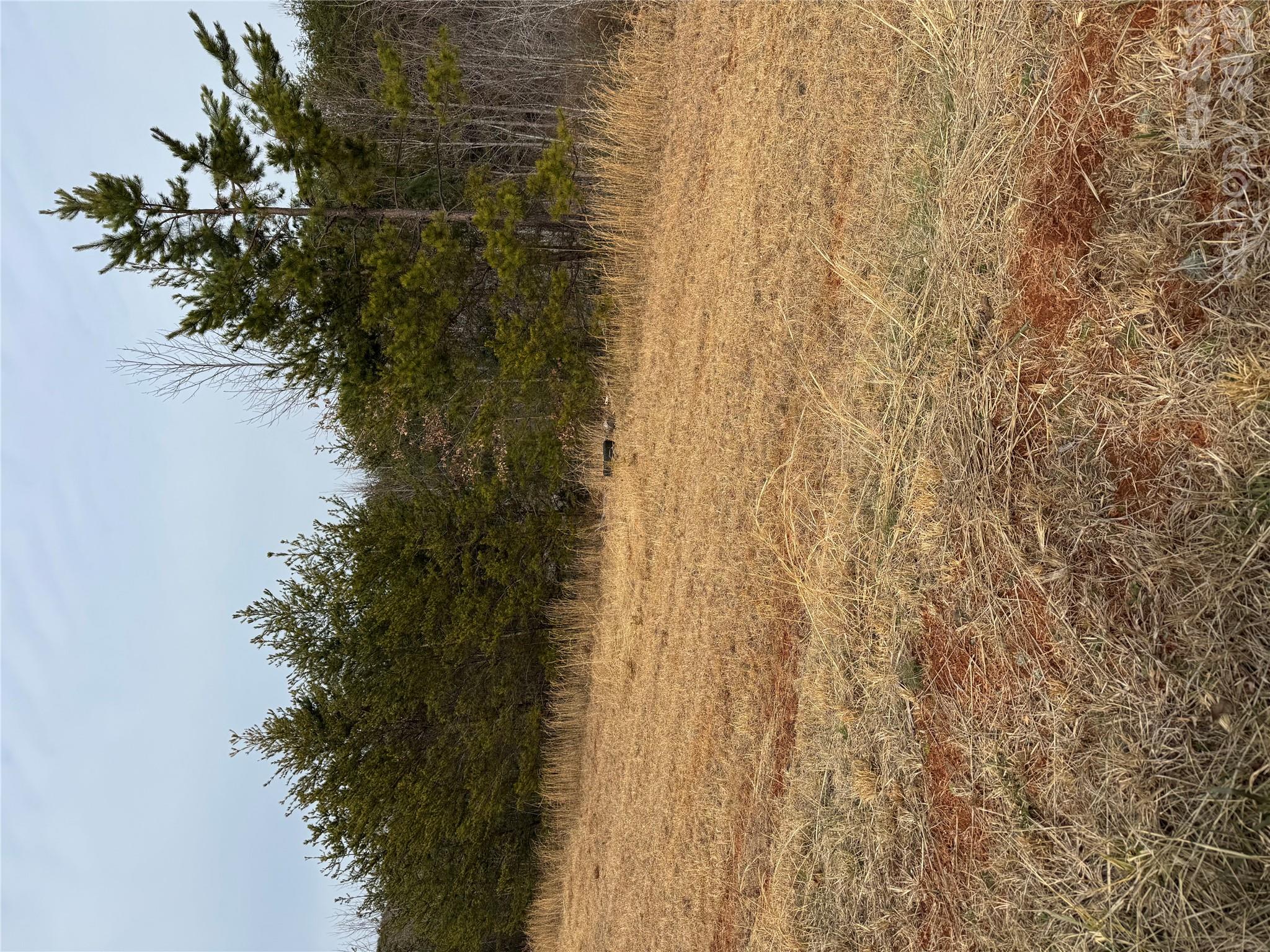 Acreage at 0 Freemantown Road, Lake Lure, photo 18 of 20