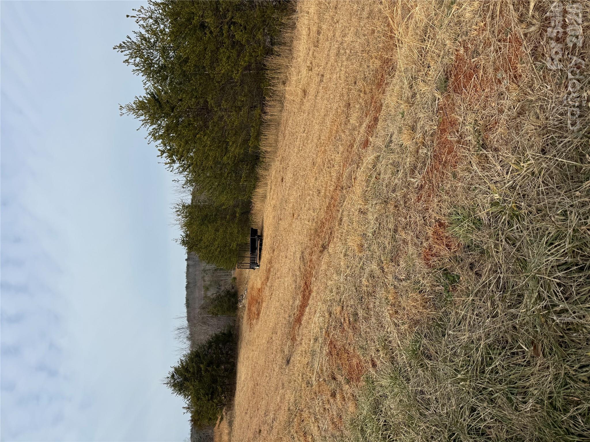 Acreage at 0 Freemantown Road, Lake Lure, photo 19 of 20