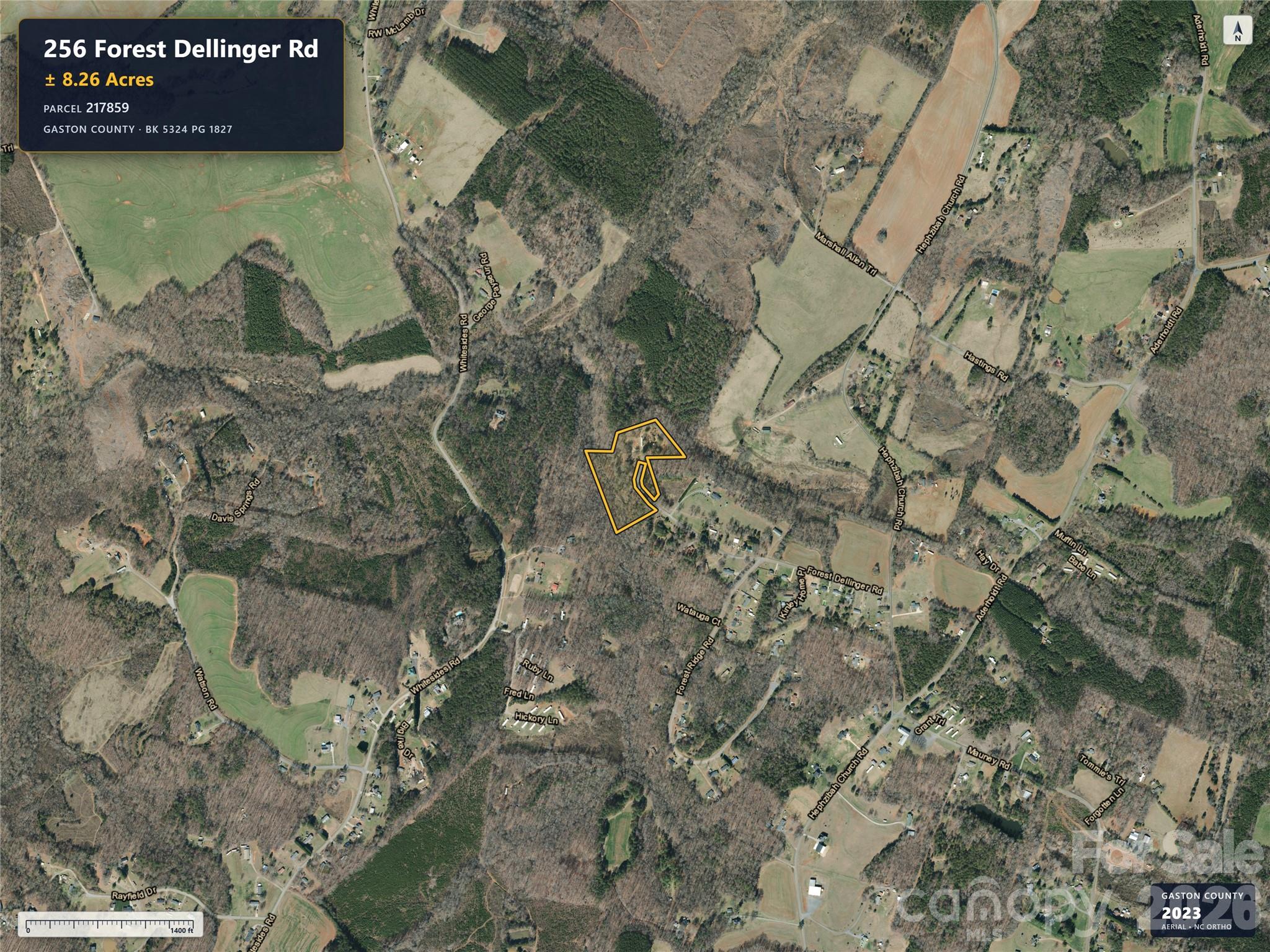Acreage at 256 Forest Dellinger Road, Bessemer City, photo 3 of 5