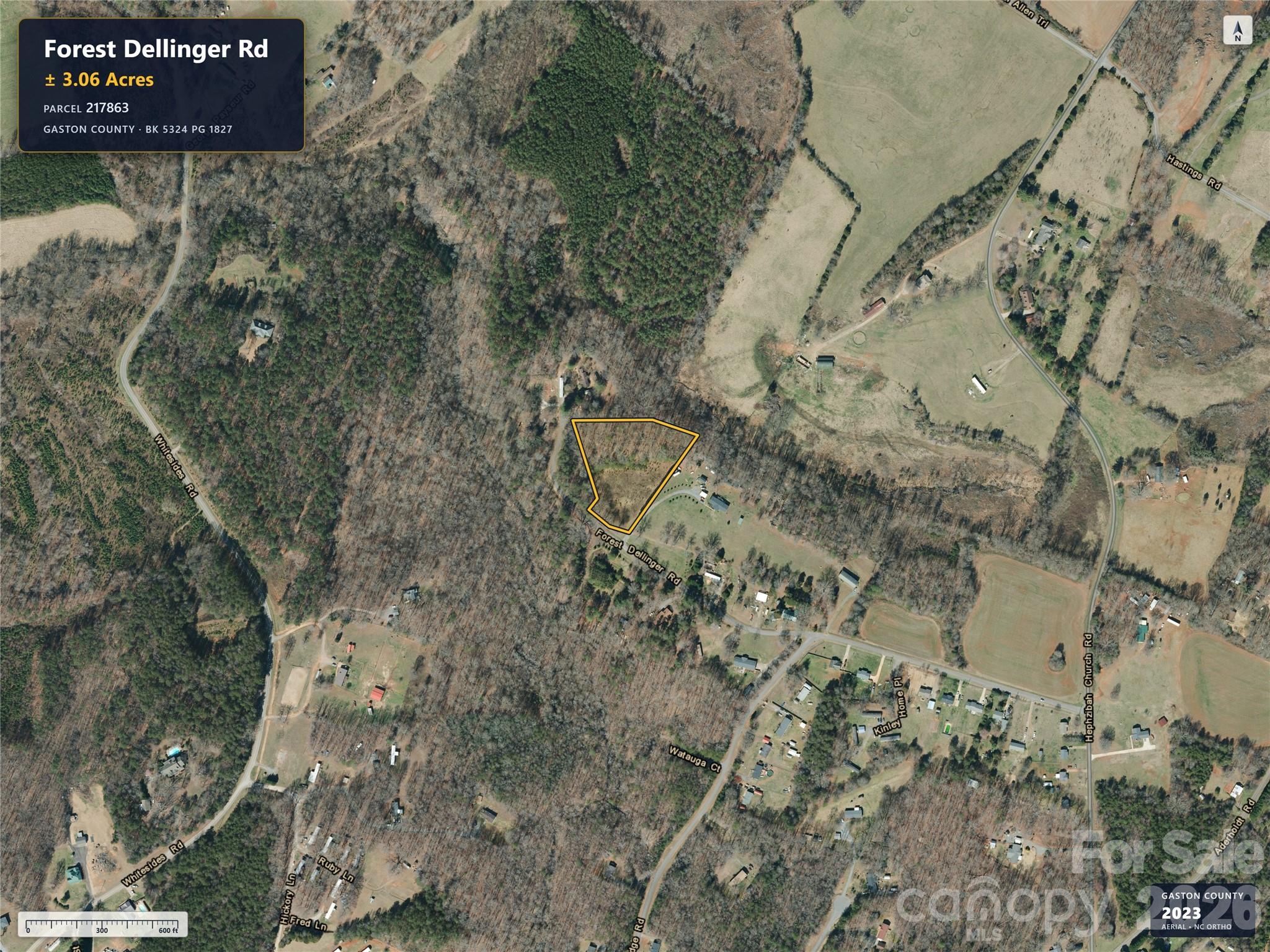Lot at 0 Forest Dellinger Road, Bessemer City, photo 3 of 5