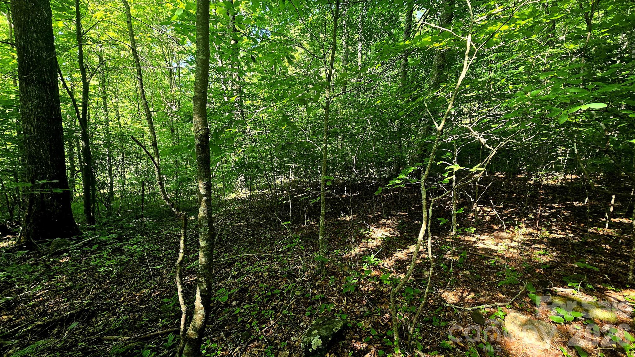 Lot at Lot 11 Elk Creek Mountain Parkway, Todd